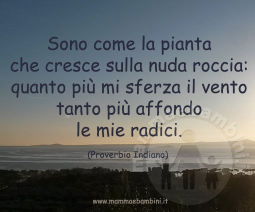 frase determinazione