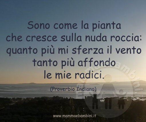 frase determinazione