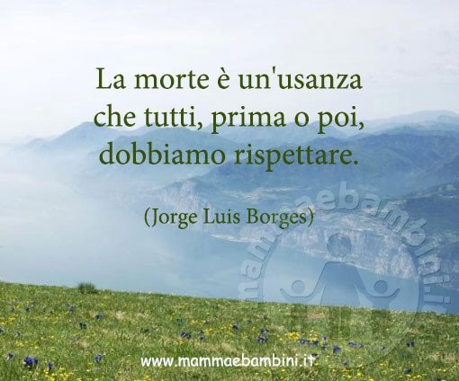 frase morte