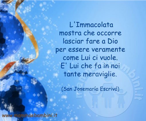 frase immacolata