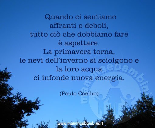 Frase del giorno energia 2 Frase del giorno 22.12.2017