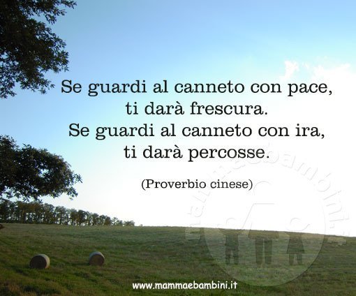 frasi sul guardare