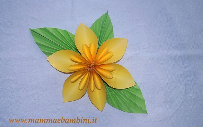 Tutorial Fiori Di Carta Facili Mamma E Bambini