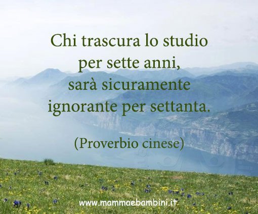 frasi sullo studio