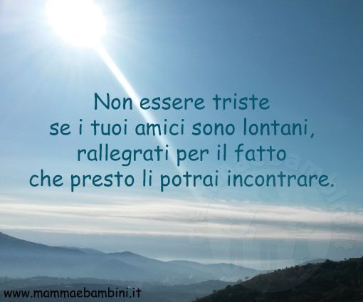 frase amici