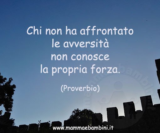 frase forza