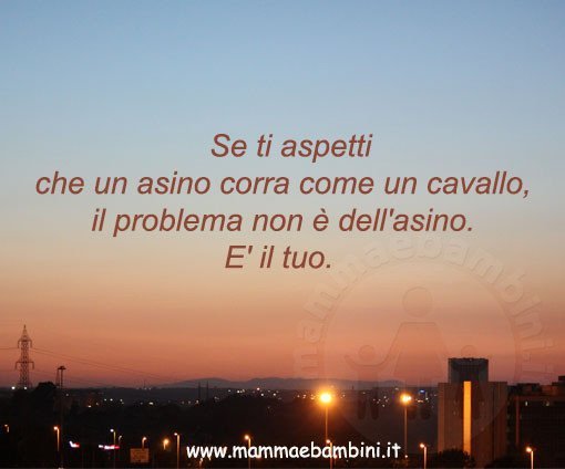 frase aspettative