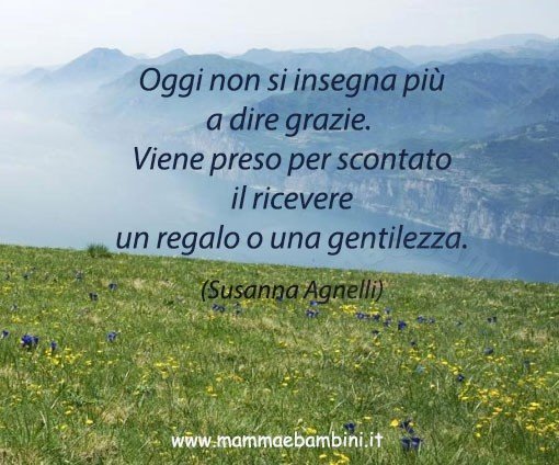 frase del giorno grazie