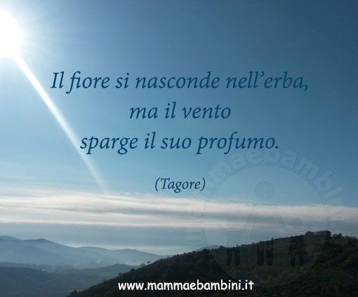 FRase del giorno 22.03 fiore