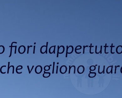 frase guardare 1