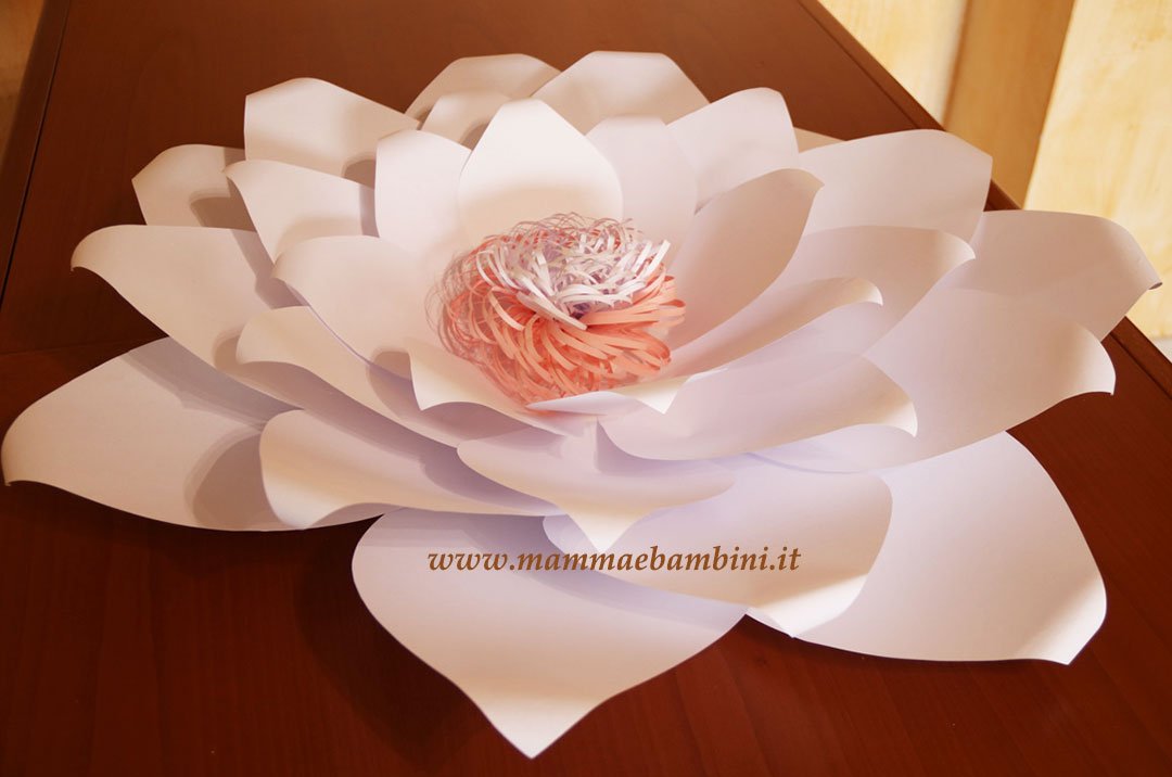 Composizioni con fiori giganti di carta 7 fiore gigante di carta 00