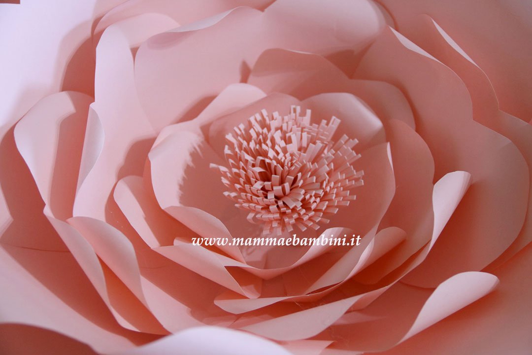 Composizioni con fiori giganti di carta 5 rosa gigante carta