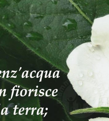 frase acqua 1