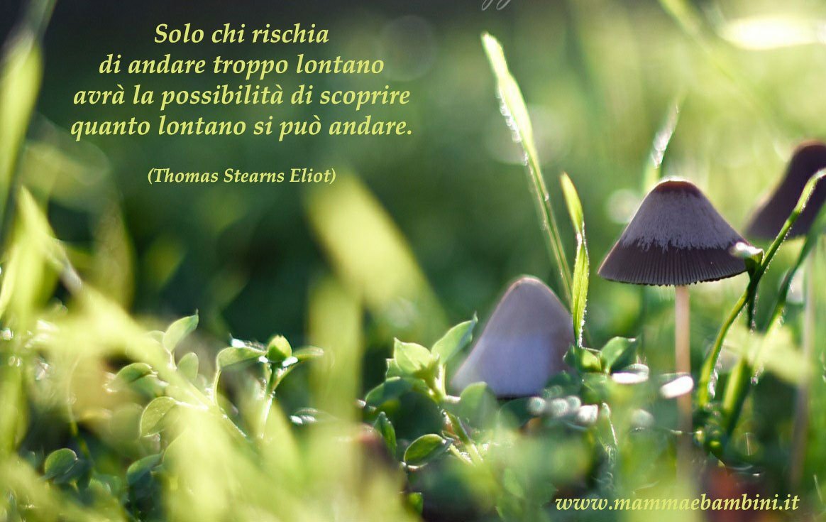 Frase del giorno 3 maggio su andare 1 Frase del giorno 03.05 andare