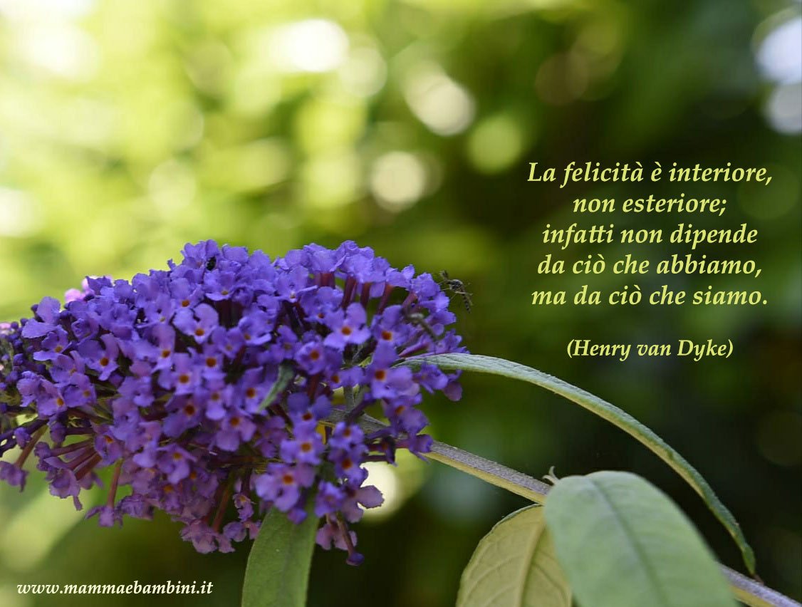 Frase del giorno 01.05 felicità