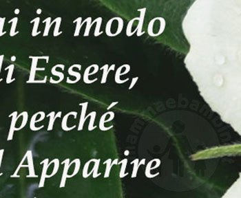 frase essere apparire1