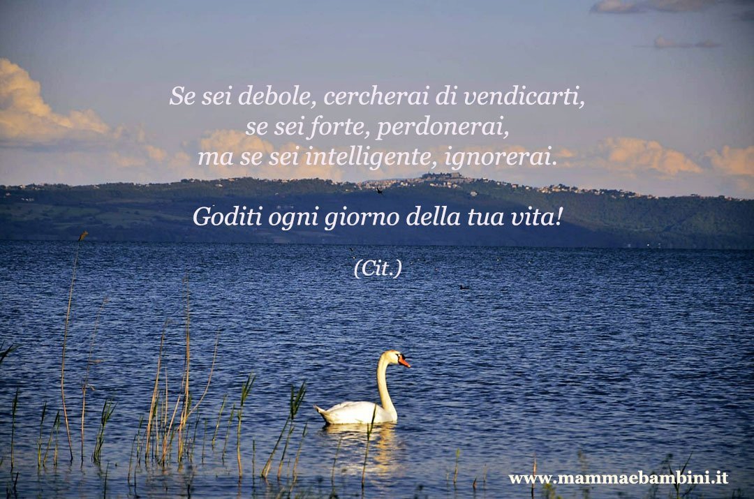 Frase del giorno 14.06 ignorare 1 Frase del giorno 14.06 ignorare