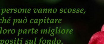frase su persone1