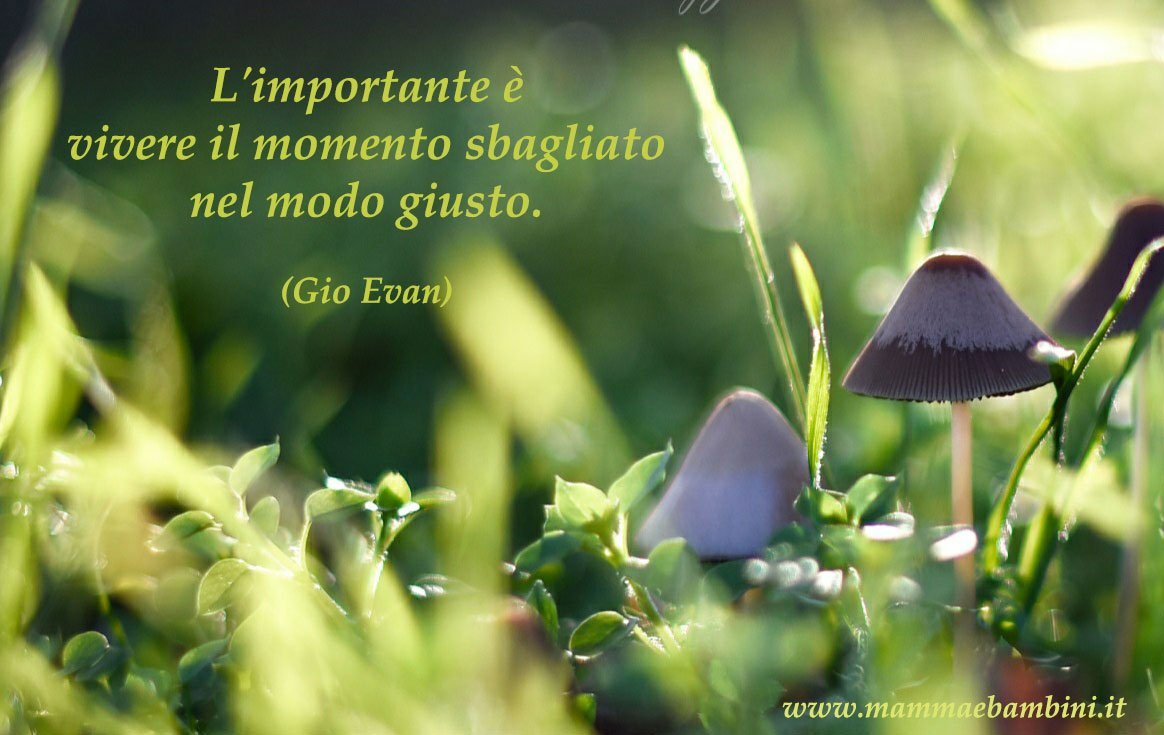 Frase del giorno 12.07 vivere