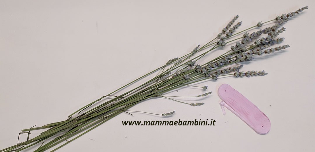 Fusi di lavanda profuma biancheria 4 fusi di lavanda 07