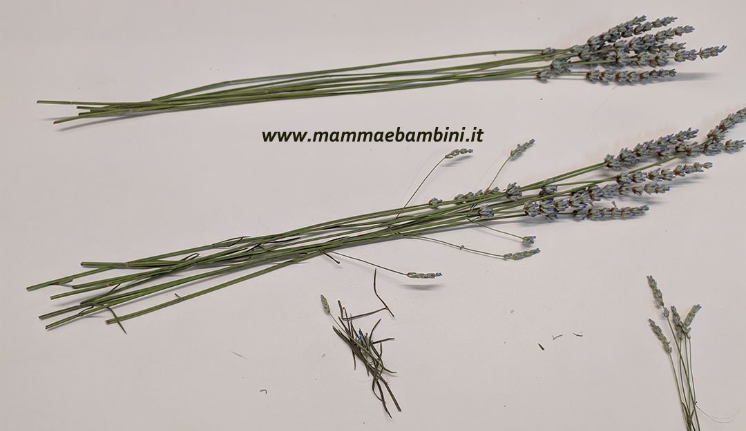 Fusi di lavanda profuma biancheria 5 fusi di lavanda 08
