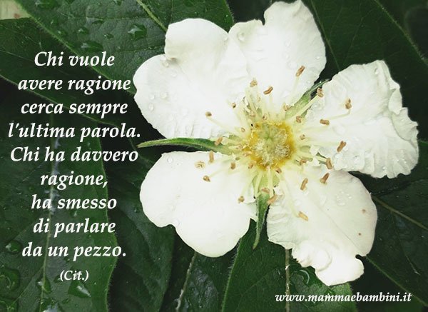 Frase del giorno 07.08 ragione