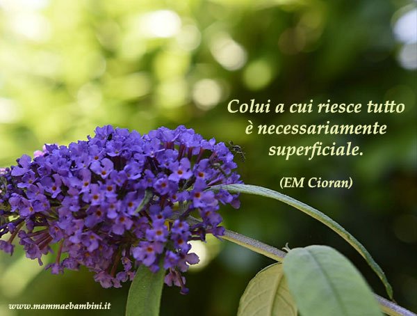 Frase del giorno 14.08 superficiale