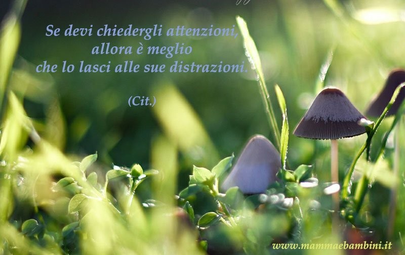 Frase del giorno 7 settembre 1 frase attenzioni