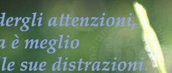 frase attenzioni1