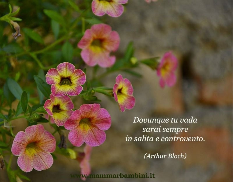 Frase del giorno 17.09 salita 2 Frase del giorno 17.09 salita