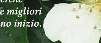 frase inizio1