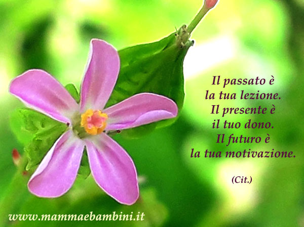 Frase del giorno 26.10 tempo 2 Frase del giorno 26.10 tempo