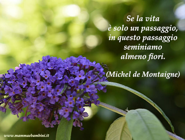 Frase del giorno 28.10 seminare 2 Frase del giorno 28.10 seminare