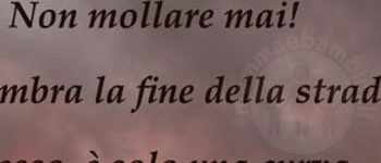 Frase del giorno 26.11 non mollare 3 frase non mollare mai1