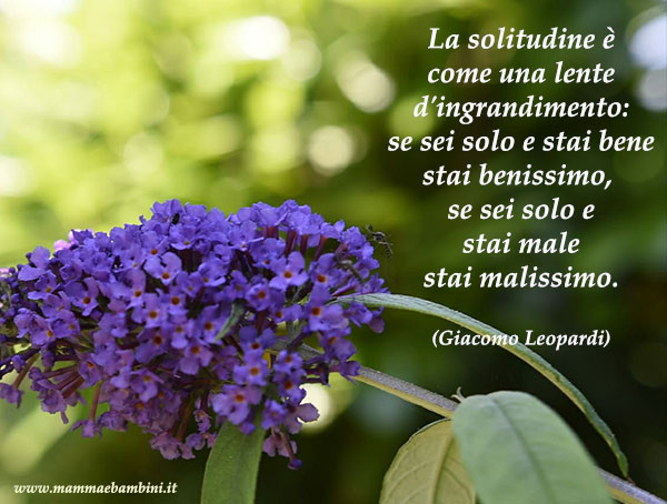 Frase del giorno 30.11 solitudine 1 Frase del giorno 30.11 solitudine