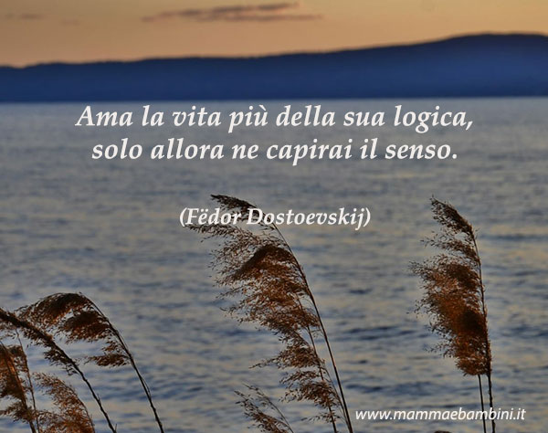 Frase del giorno 18.12 vita