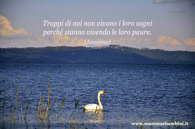 frase sogni paure