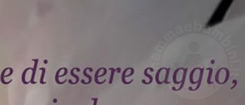 frase essere saggio1