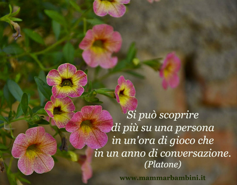 Frase del giorno 15.02 gioco 1 Frase del giorno 15.02 gioco