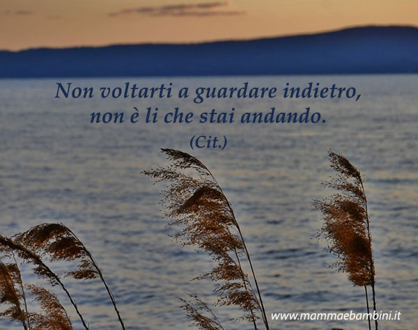 Frase del giorno 06.02 guardare