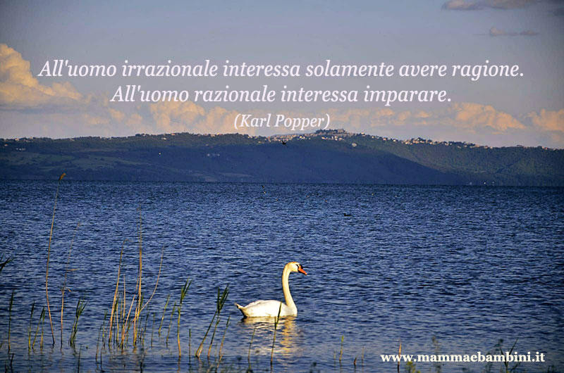 Frase del giorno uomo razionale 1 Frase del giorno uomo razionale