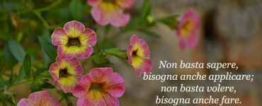frase comportamento