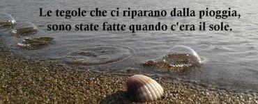 frase del giorno