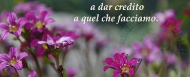 frase esempio