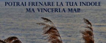 Le frasi piu' belle 6 frase indole