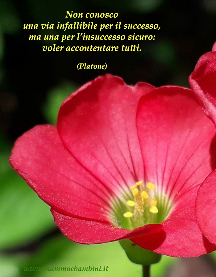 Frase del giorno 17.03 insuccesso