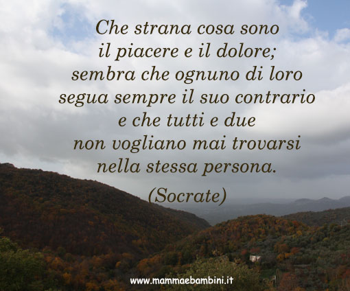 frase piacere dolore