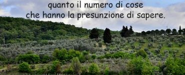 frase presunzione