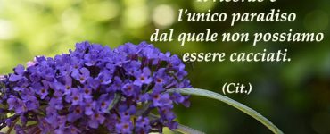 frase ricordo