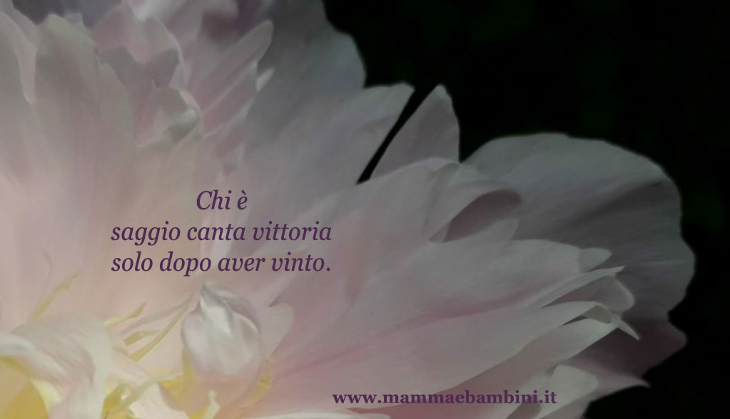 Frase del giorno 22 aprile sulla saggezza 1 frase saggio 1